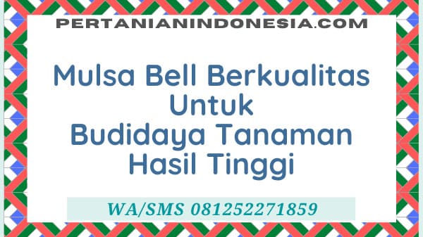 Mulsa Bell Berkualitas Untuk Budidaya Tanaman Hasil Tinggi